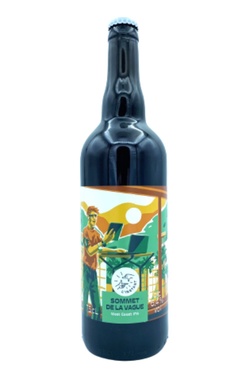 Biere Idf Brasserie L'instant Sommet De La Vague West Coast Ipa 75cl 6.4%