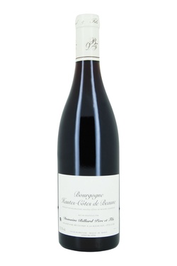 Magnum Aop Domaine Billard Bourgogne Hautes Cotes De Beaune 2022