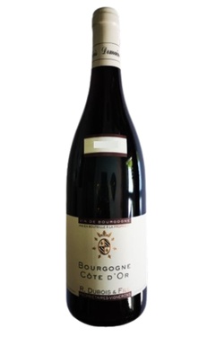 Aop Bourgogne CÔte D'or Domaine Dubois 2022